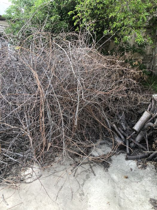 Отдам дрова бесплатно. Находимся в городе в центре