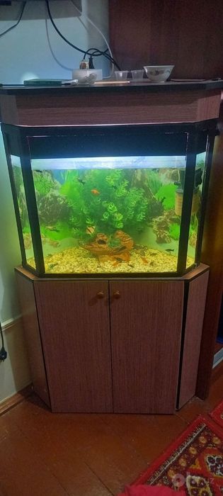 Akvarium sotiladi