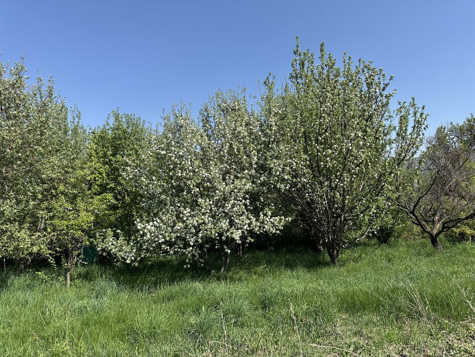 Срочно продается дача