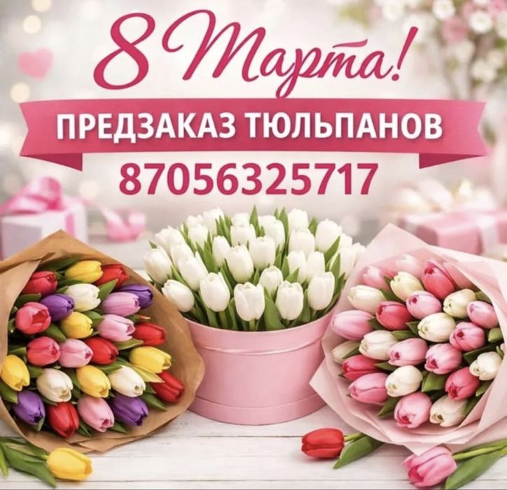 Город Павлодар . Тюльпаны