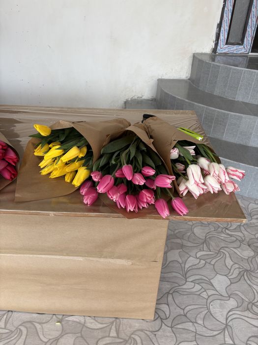 Тюльпаны на 8 марта