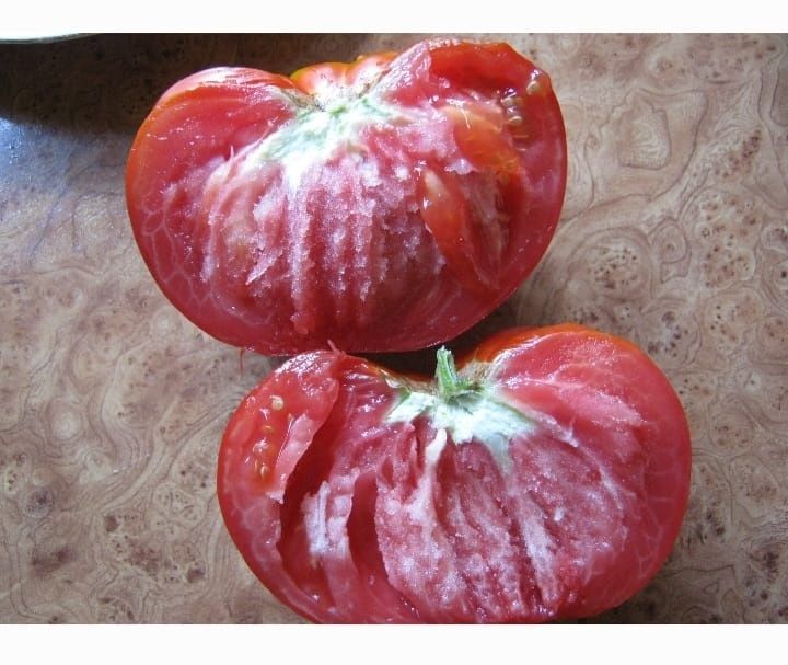 СЕМЕНА  томатов,  сорта разные(не гибриды)