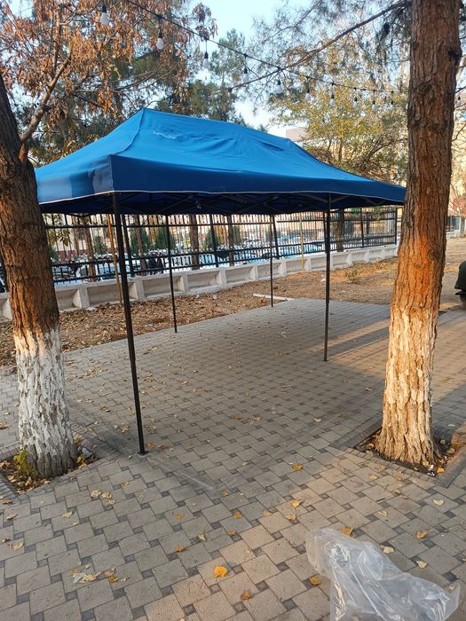 Zontik original optom