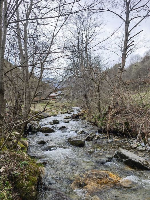 Teren superb 6.855 mp în Vulcan – Zona Schitul Sf. Nicolae