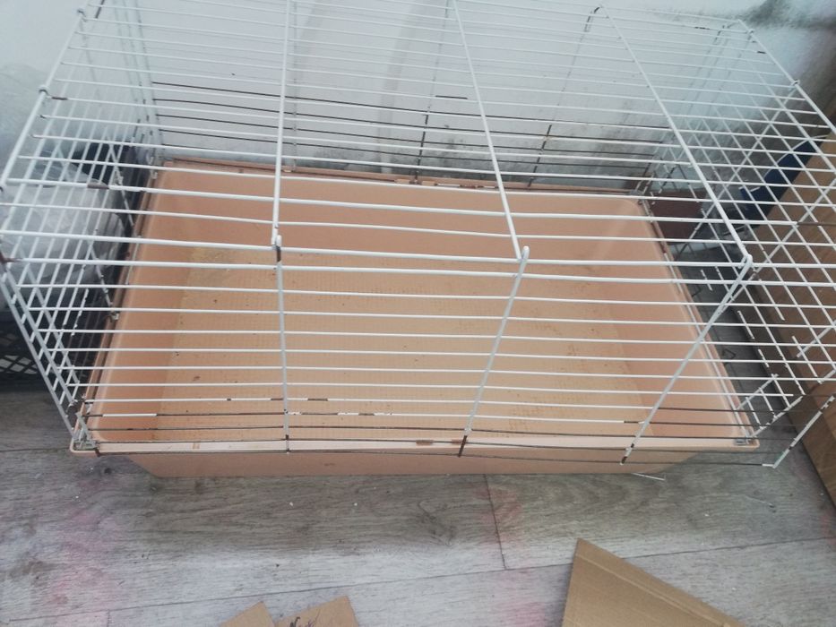 Сетка для кролика