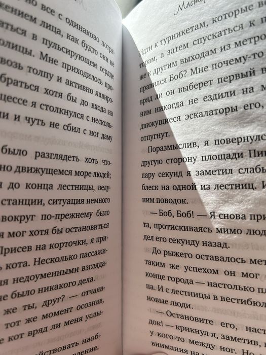 Уличный кот пл имени Боб