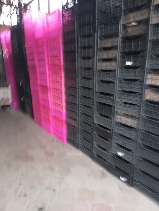 Продам ящики пластиковые