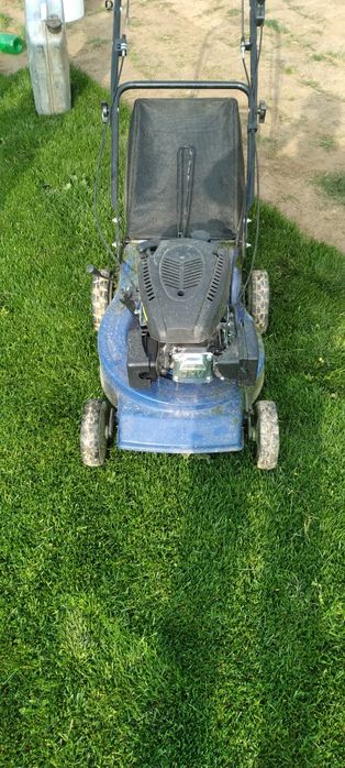 Gazon kasilka oramiz