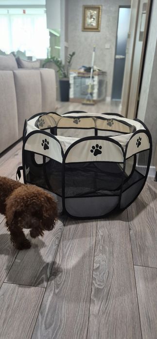 Аксесоари за домашни любимци