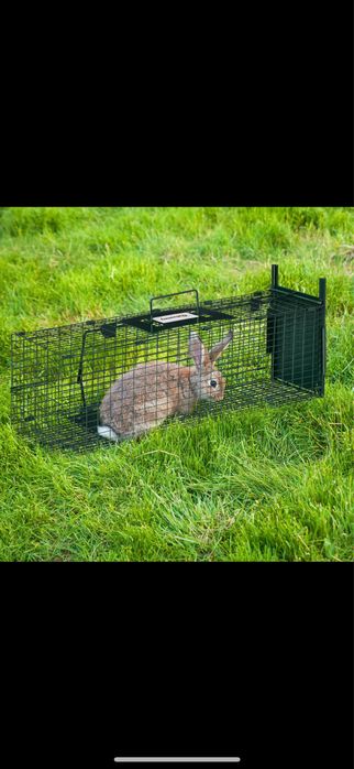 Cusca capcana animale
