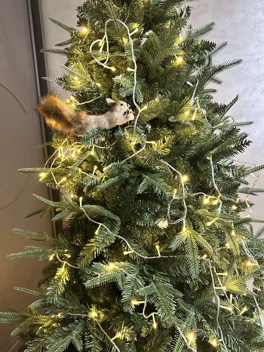 Елка премиум качества