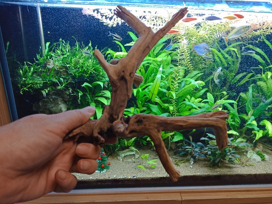 Аквариумные коряги. Аквариумные камни. Растения.