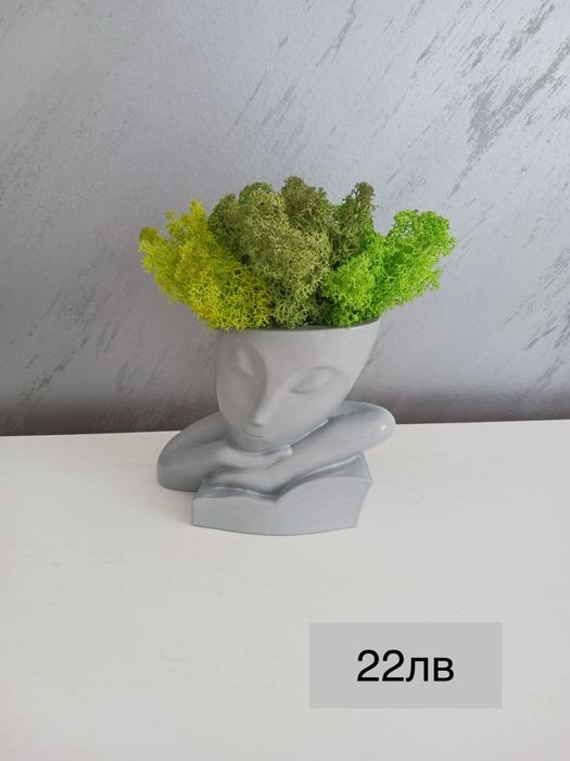 Кашпи със скандинавски мъх – тип „Лице“