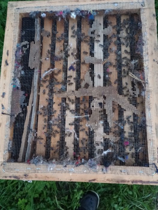 Stupi de vânzare folositi