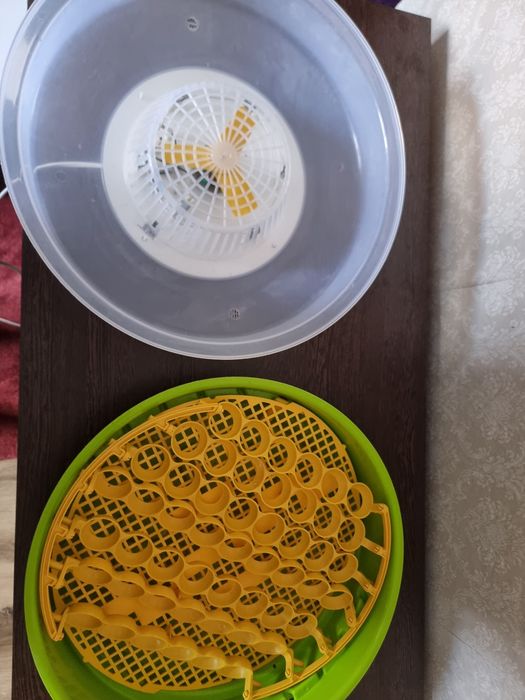 Incubator Puisor