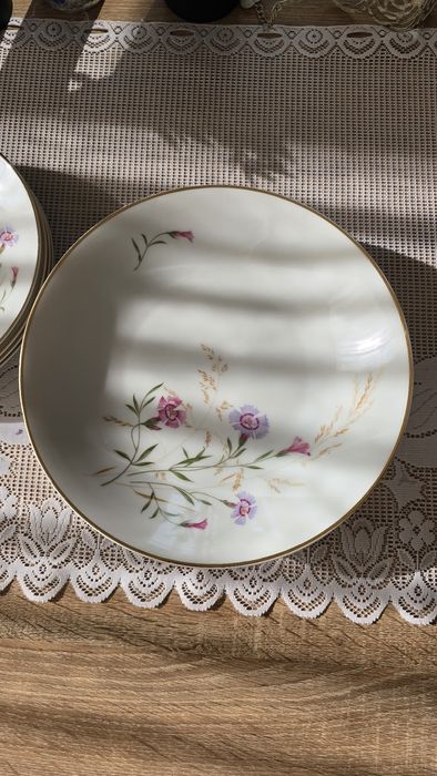 2 вида чинии Hutschenreuther