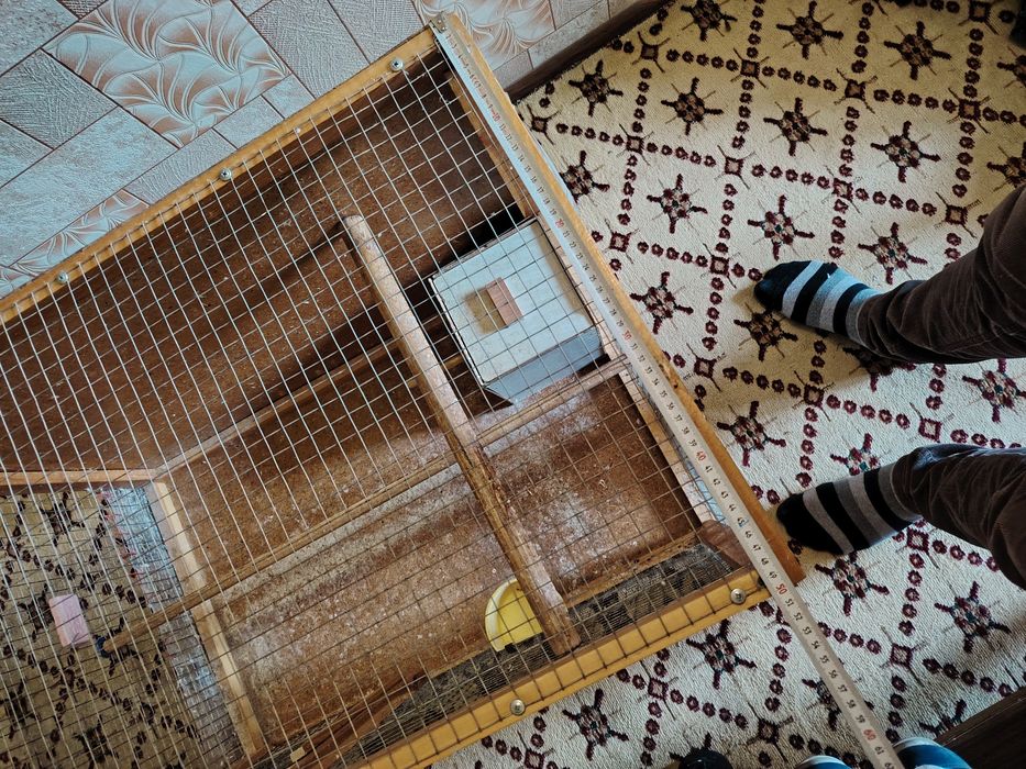 Qushlar uchun qafas sotiladi