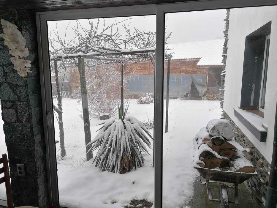 Дава се под наем Къща в с. Черни бряг, Област Търговище - 130 кв.м за 153 € - Снимка #10