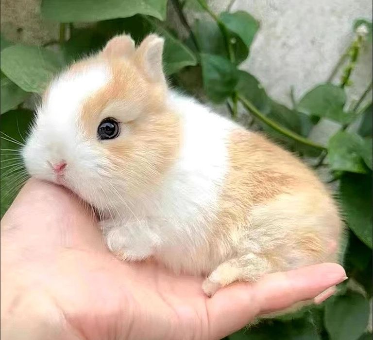 Jim bo‘lgan bola emas, mehribon bola