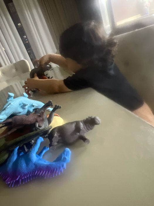 Индивидуальная Няня)  у себя  дома