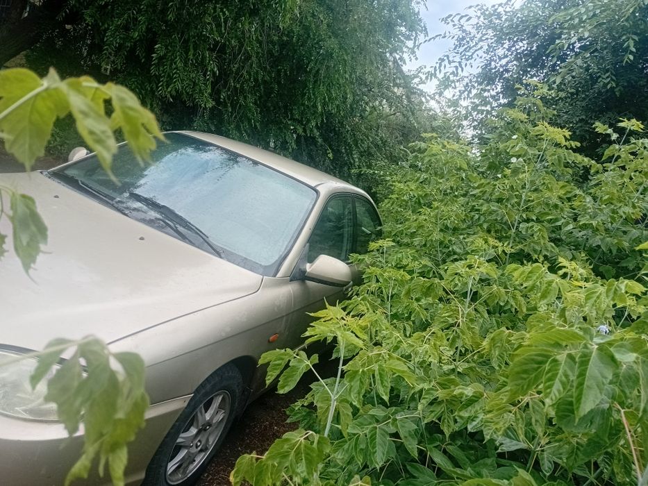 Продам машину kia specta