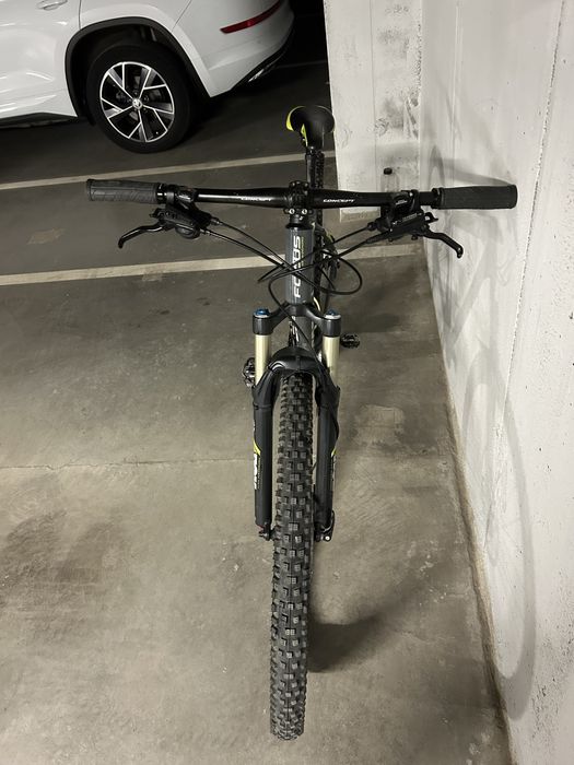 Focus Black Forest LTD-29