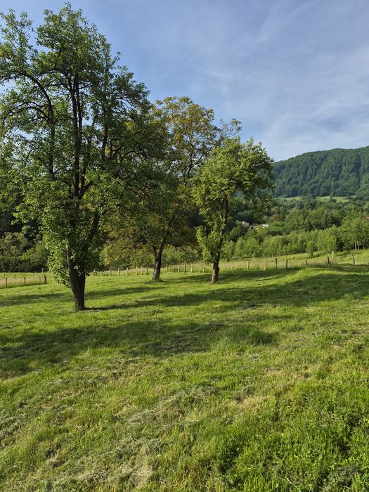 Vand teren intravilan Bran ,Tohănița  ,1986 mp