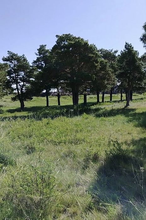 Акколь земельный участок