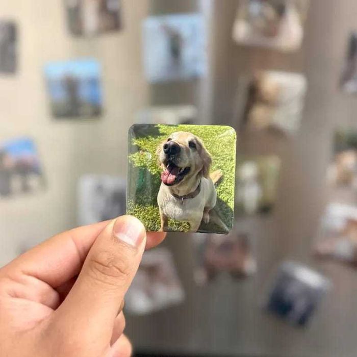 Magneți personalizați metal 5x5 cm – amintiri unice pentru frigider