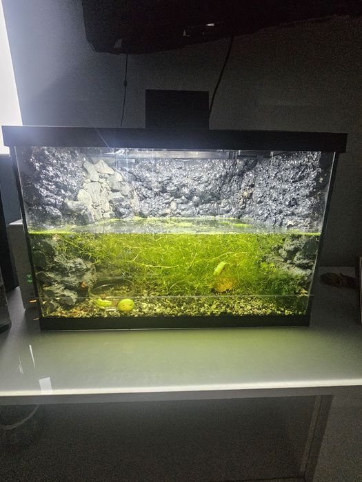 Terarii diferite dimensiuni