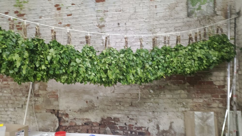 Продам веники свежие