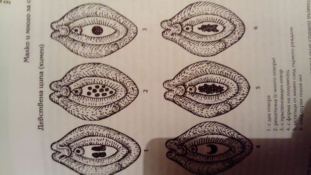 Книга с автограф! от автора