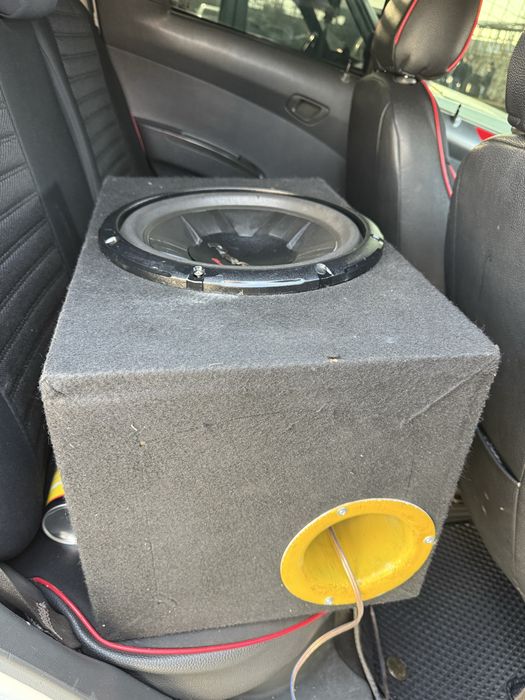 Pionner sambufer chempion ideal