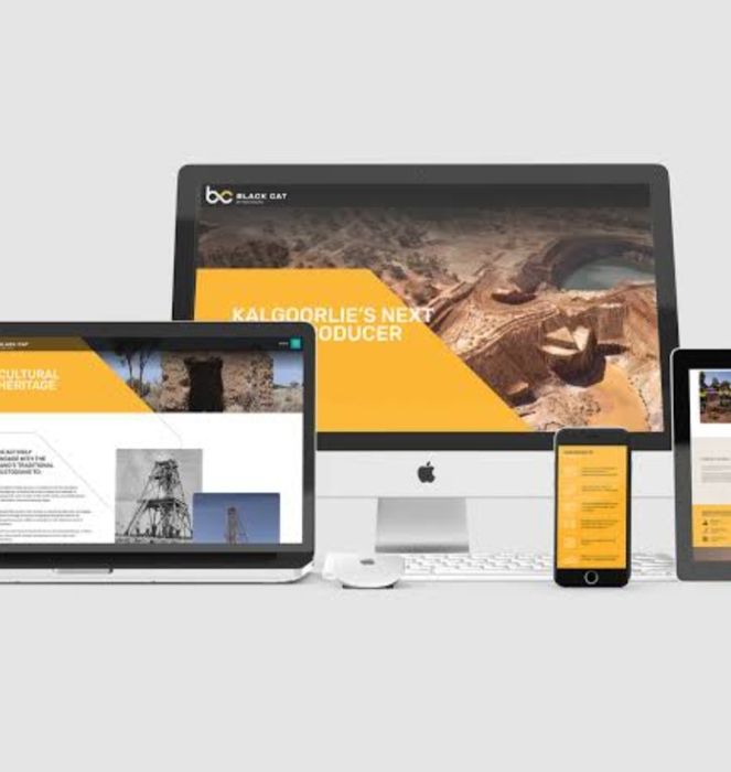 Realizez Website-uri la comandă