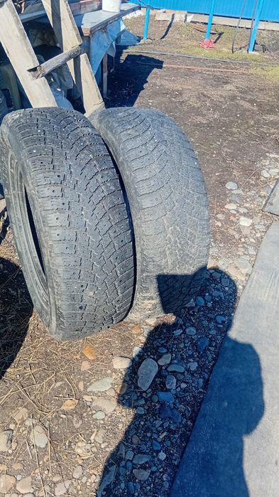 Шины зимние бу.  .