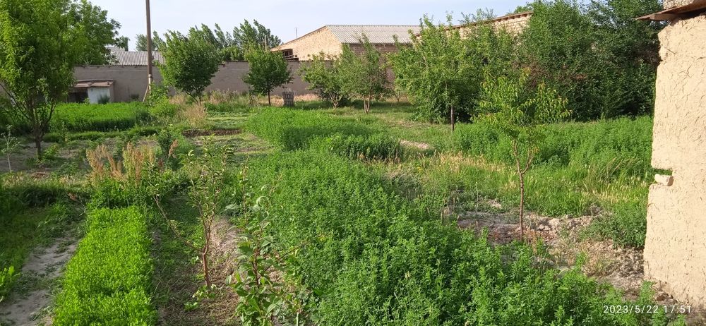 Zudlik bilan Chelak shaxarchasida 20 sotix Xovli sotiladi xovli