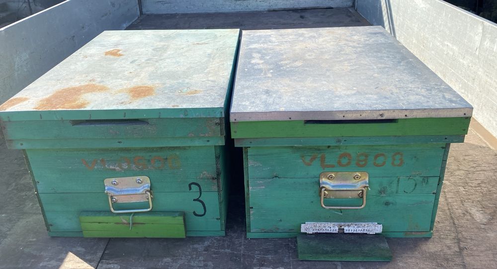 Cutii  stupi orizontali pe 16 rame - 10 bucati !