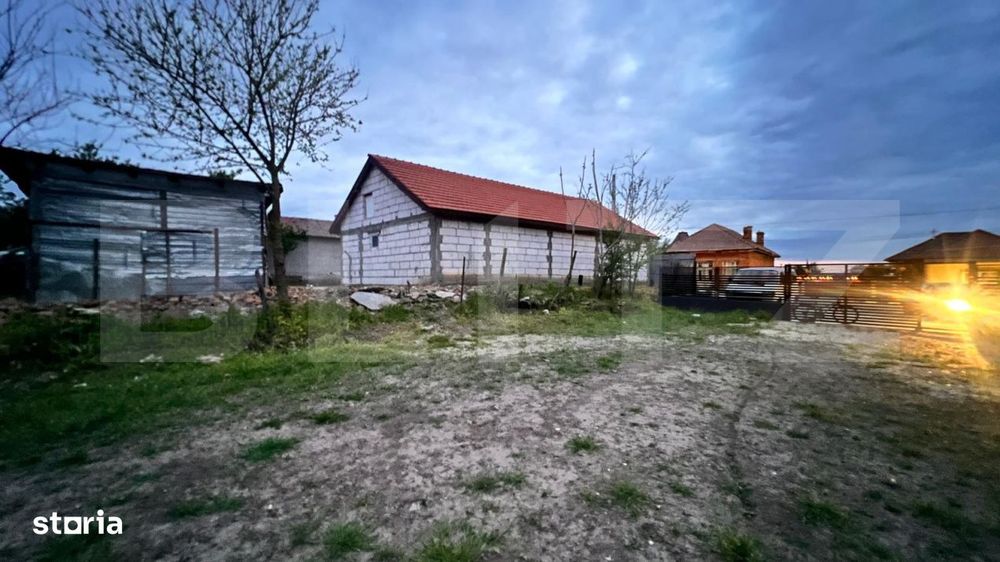 Doua case, spatiu comercial, casa tip pensiune Goicea Dolj