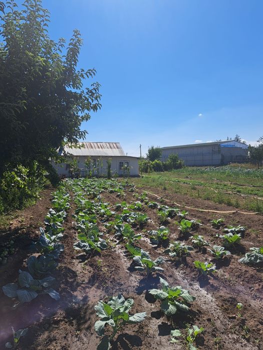TEREN ~5.000 m² + CASĂ DE VÂNZARE – Bârlad