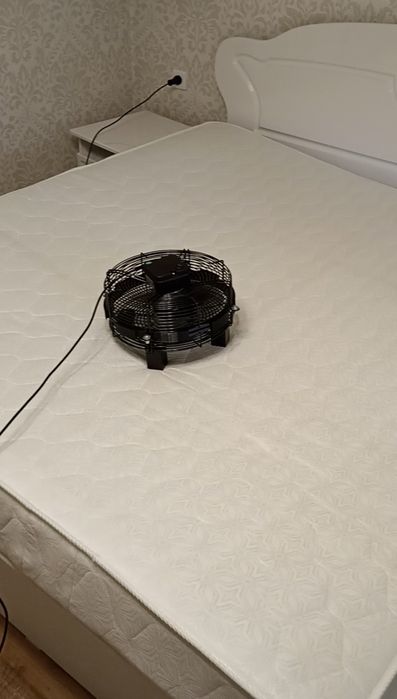 Сдам в аренду моющий пылесос