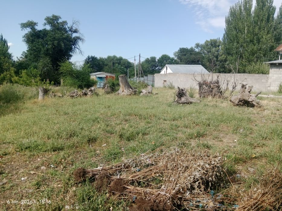 Отдам дрова бесплатно