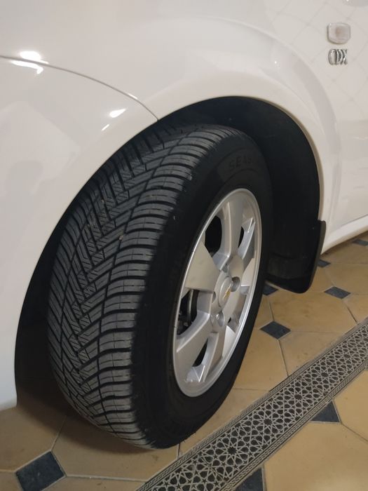 Jentira elegant pilus