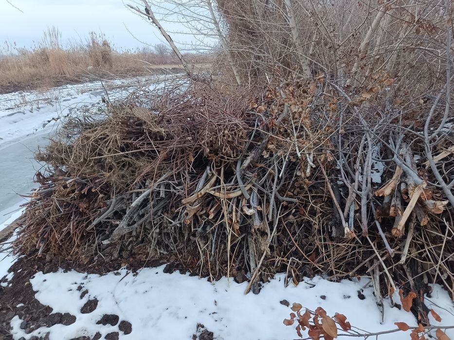 Oʻtin sotiladi 1.500ming