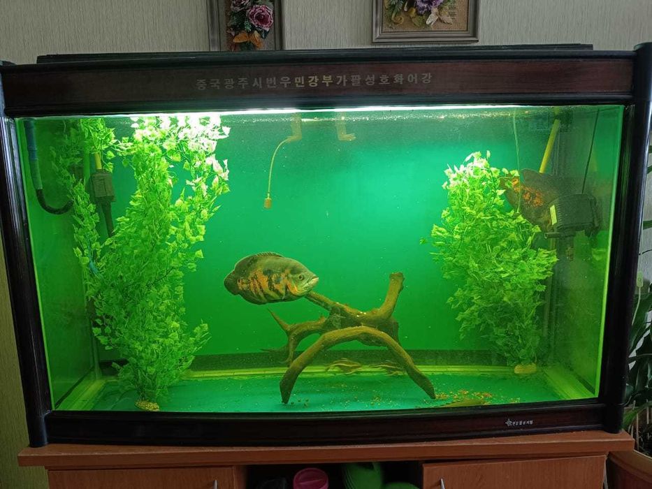 Продам аквариум заводской с тумбой.