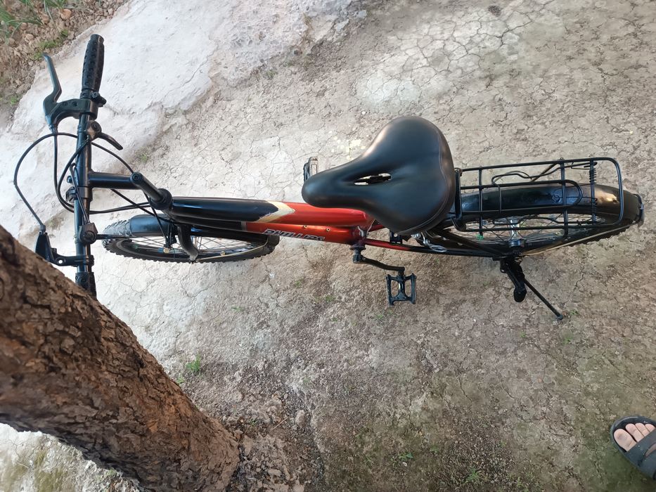 Сотила. Власпед размер 20