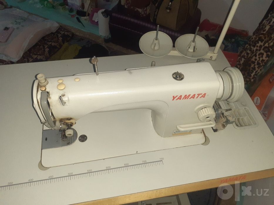 Ha albatda kafolat beraman