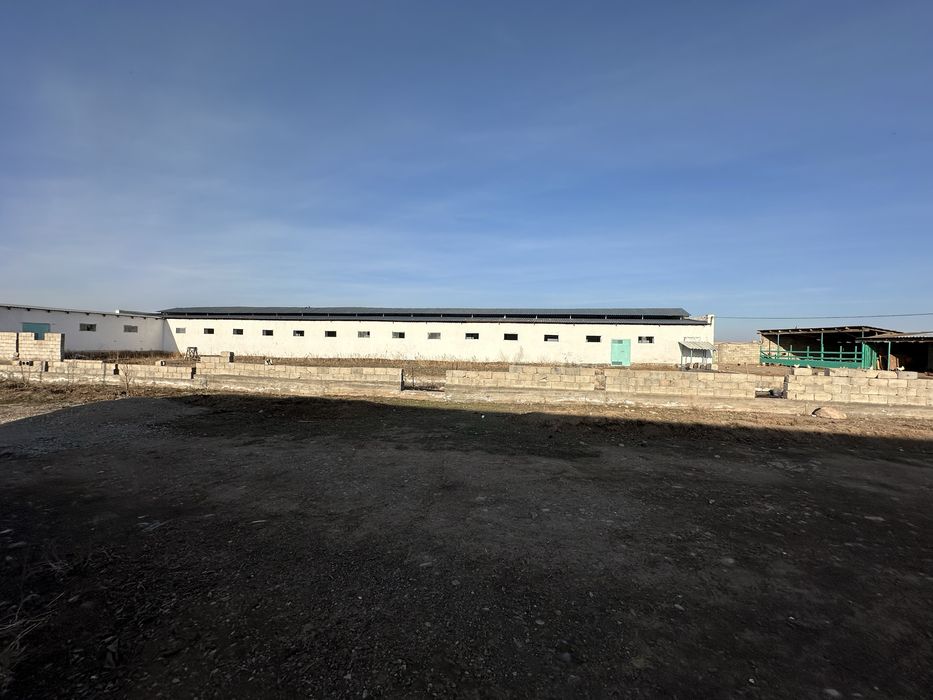 Участок с домом для крестьянского хозяйства