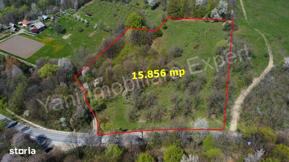 Teren 15.856 mp de vânzare în comuna Valea Iașului, județ Argeș.