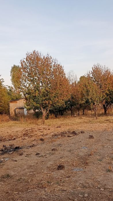 Sotiladigan uchaska bor