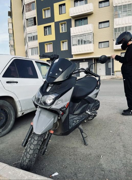 Момед самурай 1 поколение